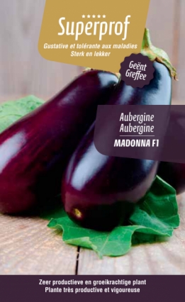 images/productimages/small/138606_aubergine madonnaF1.jpg